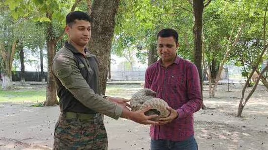 Indian Army's Wildlife Efforts: Pangolin Rescue Near Indo-Pak Border Highlights Conservation Commitment