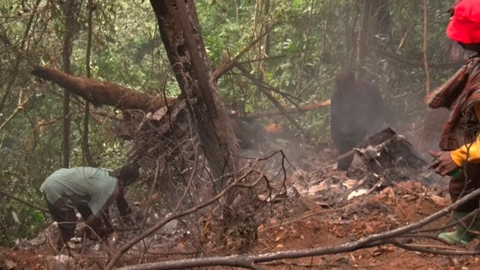 Ghana Air Disaster: Defence and Environment Ministers Among Eight Dead in Helicopter Crash