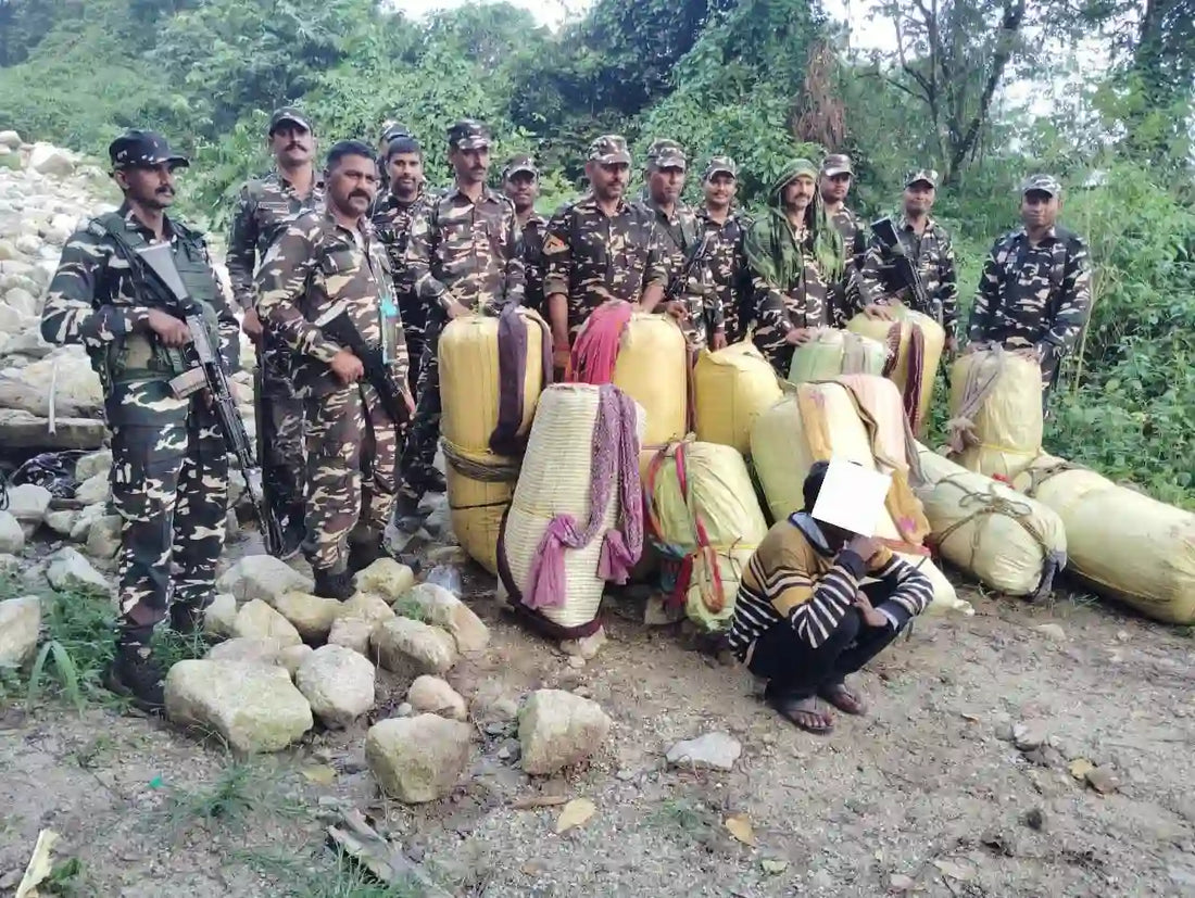 SSB Seizes 325.5 Kg Ganja in Arunachal Pradesh, Arrests One in Joint Op