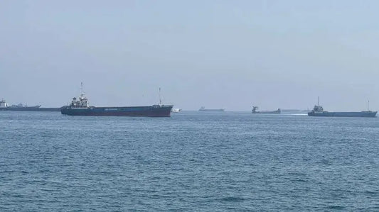 Indian Vessel Virat 1 Sinks Near Oman; All 14 Crew Members Safely Rescued