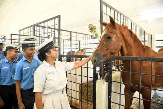 Sea Cadet Corps Cadets Undergo Immersive Officer Training at Indian Naval Academy Ezhimala