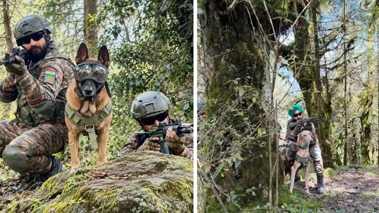 Indian Army Canines, Including Rampur Hounds, Showcase Tactical Skills at Yudh Abhyas 2026