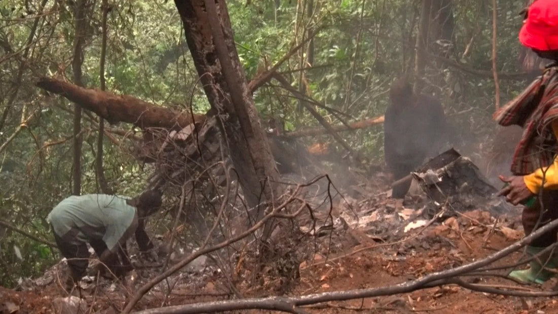 Ghana Air Disaster: Defence and Environment Ministers Among Eight Dead in Helicopter Crash