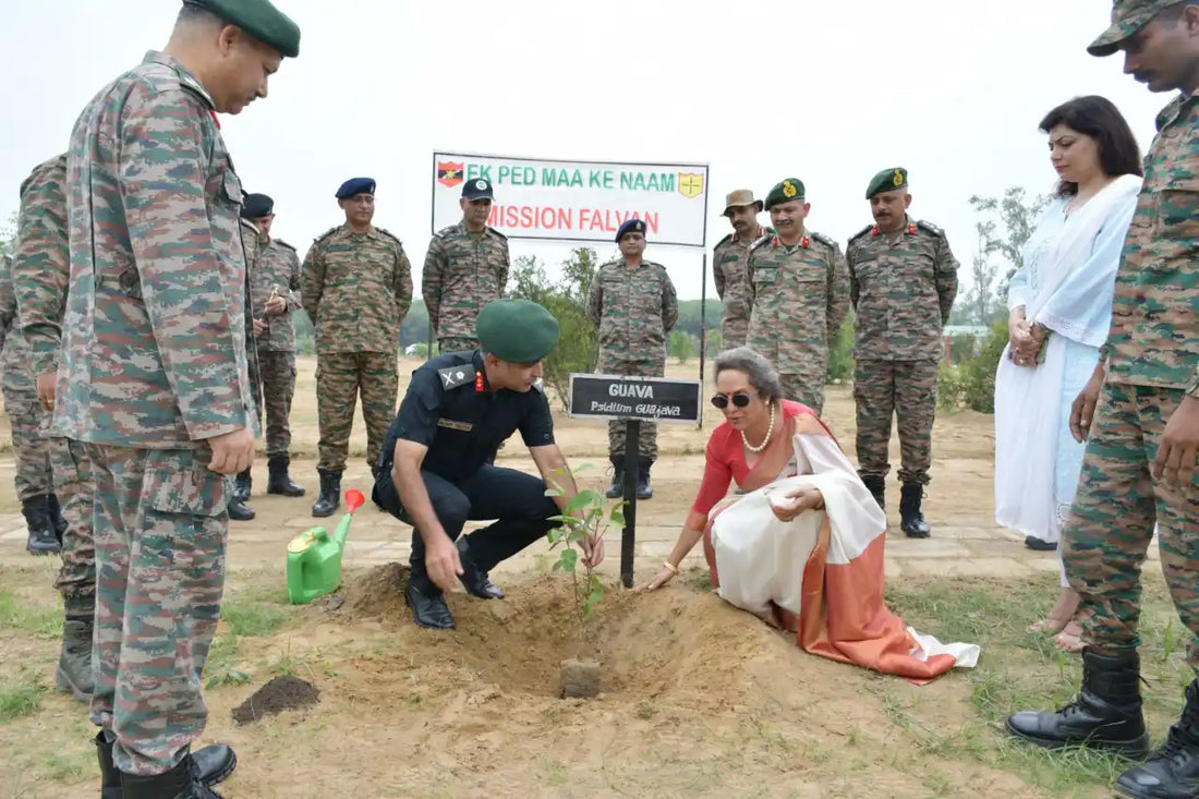 Hisar Military Station Conducts Large-Scale Plantation Drive with 5,000 Trees Under Mission Falvan