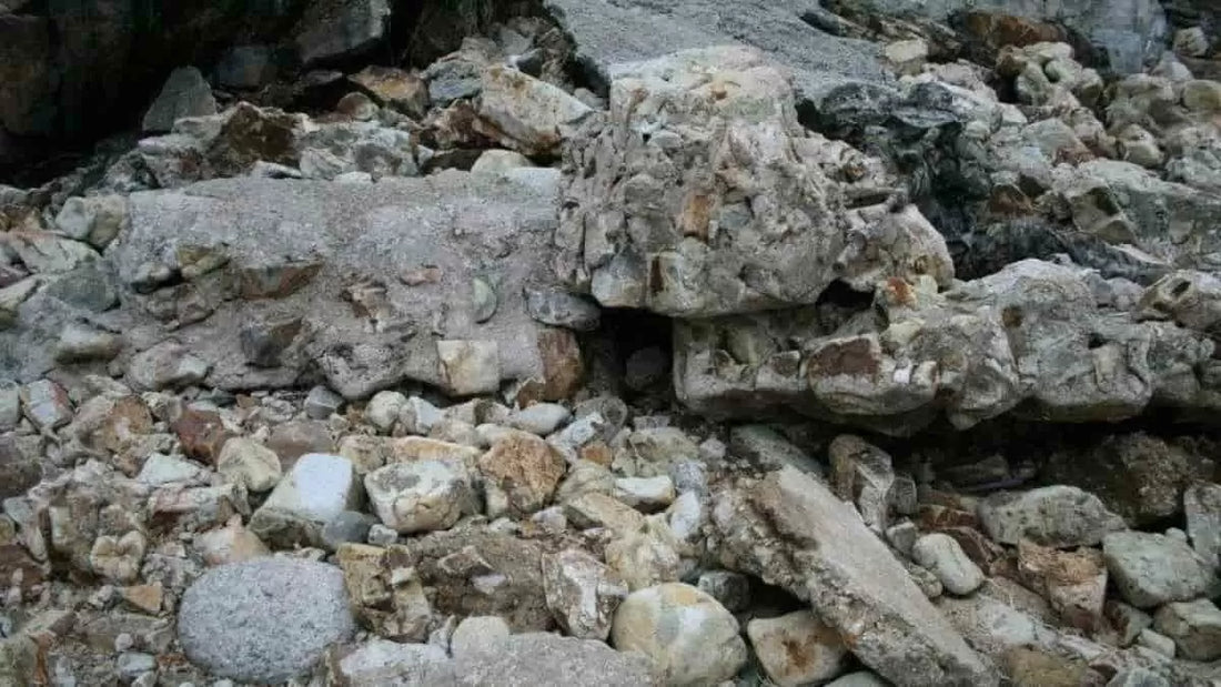 Optical Illusion Challenge: Can You Spot the Hidden Sniper in Just 5 Seconds? Only 1 in 10 Can!